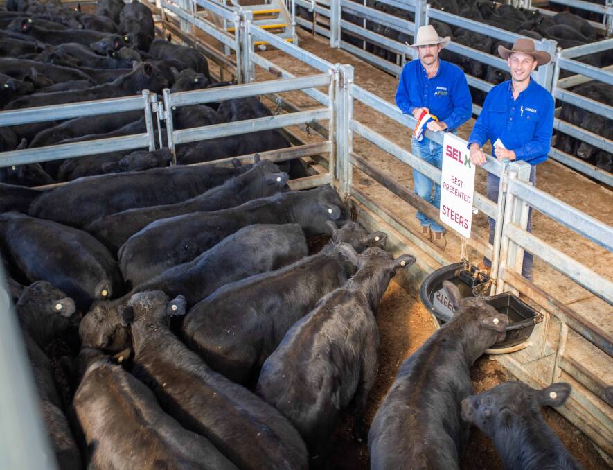 RECOGNITION: Champion presented pen of steers at SELX, A and J Pastoral, Tumut with Nathan Sheahan and Sam Hunter of AgStock. The steers made $1430.