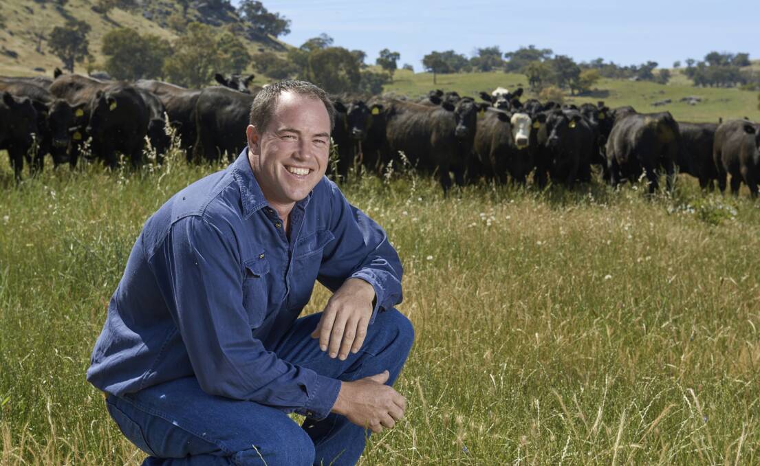 GROWING GRASS: Coolac grazier Michael Crowe will embark on a 100-per cent pasture feeding operation using a new growing concept. 