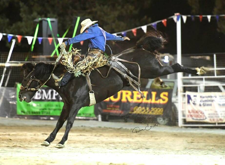 TOP RESULTS: Brad Pierce of Tooma breaks the Australian Saddle bronc riding record at Narrandera Pro Rodeo. Picture: Dave Ethell 