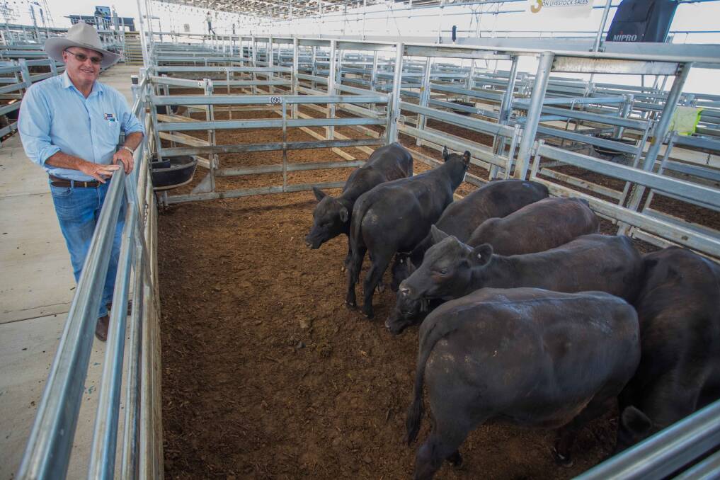 QUALITY FLOWS: David Corcoran of Delta Agribusiness sold seven Angus vealer steers on behalf of Cavanagh Grazing, Boorowa to a top of 311c/kg, av 341.4kg, $1061.84. 