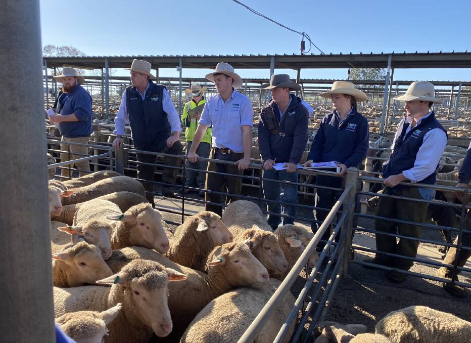 TAKING THE BIDS: The team from H Francis and Co at Wagga sheep and lamb sale. Picture: H Francis
