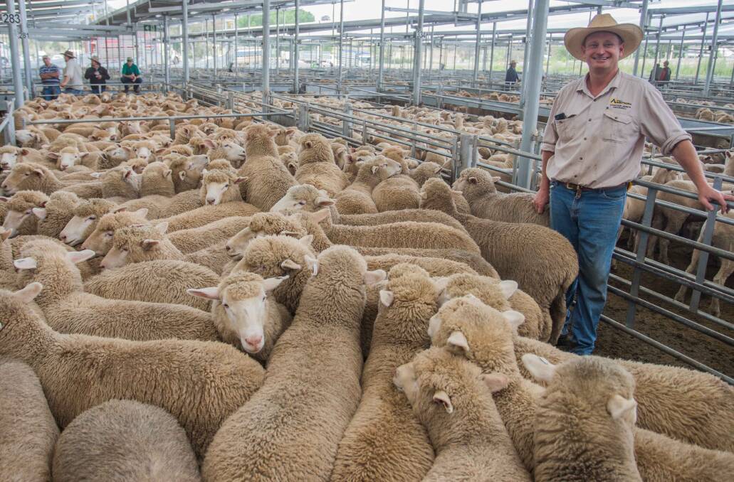 YARDSTICK: Greg Anderson, MD and JJ Anderson sold 140 cross bred suckers on behalf of P and L Dawson, "Roselyn" to a top of $194.60.