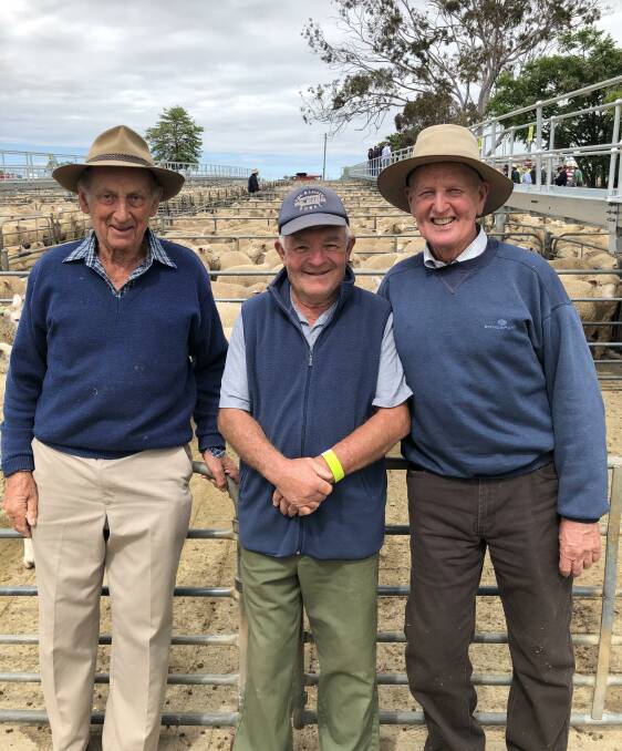 MEET THE MARKET: Allan Coyle with Mick Seymour and Colin Coyle at the Corowa saleyards inspecting the store lambs. Picture: Supplied
