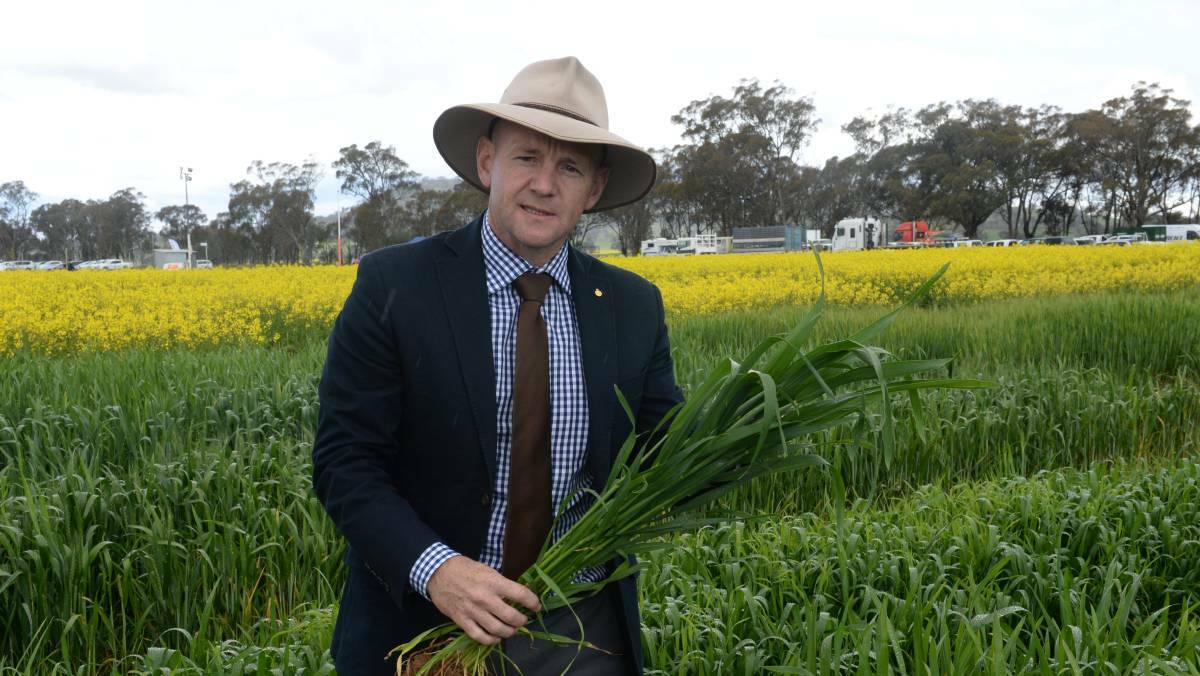 WATER AGENDA: NSW Regional Water Minister Niall Blair inspects winter crops. 