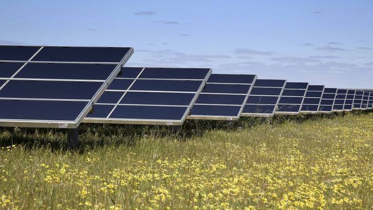 MERITS DISCUSSED: Opportunities for a solar farm in southern NSW will be discussed at a meeting in Culcairn. 