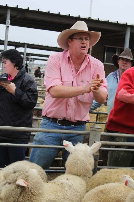 TAKING THE BIDS: A file image of Joe Wilks in action at the Wagga sheep and lamb market. 