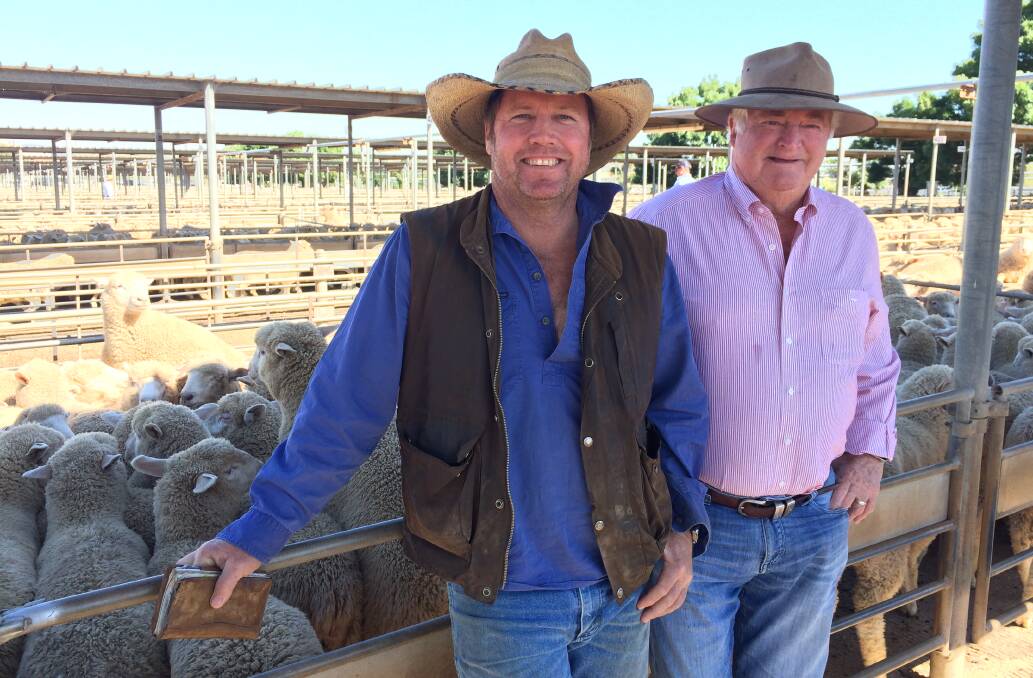 MEET THE MARKET: Vendors Chris Wilson and his dad Harry of "Oivi", Wantabadgery sold 500 Poll Dorset cross lambs at the Wagga market to a high of $162. Picture: Nikki Reynolds