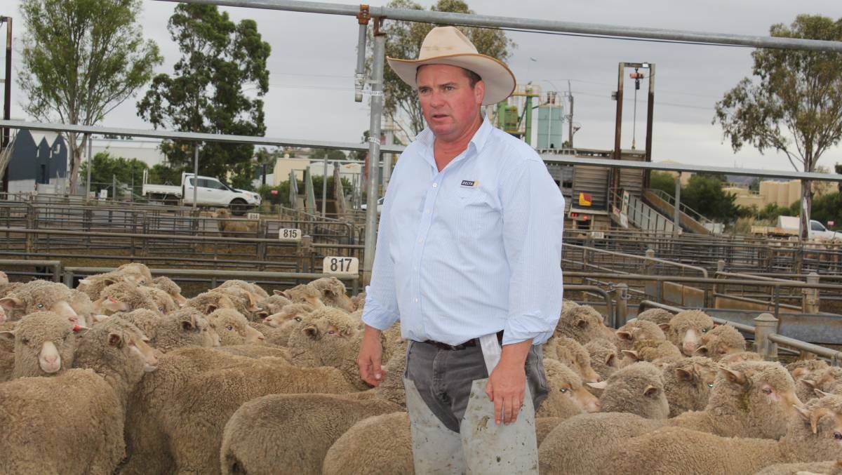 TOP RESULTS: Aaron Mackay of Delta HLB takes the bids at the Wagga sheep sale. Picture: Nikki Reynolds