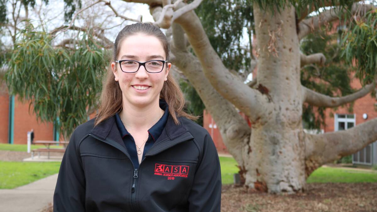 INVESTIGATION: Charles Sturt Bachelor of Animal Science (Honours) student Sabrina Meurs examined the impact of grain processing on the performance of lambs. 