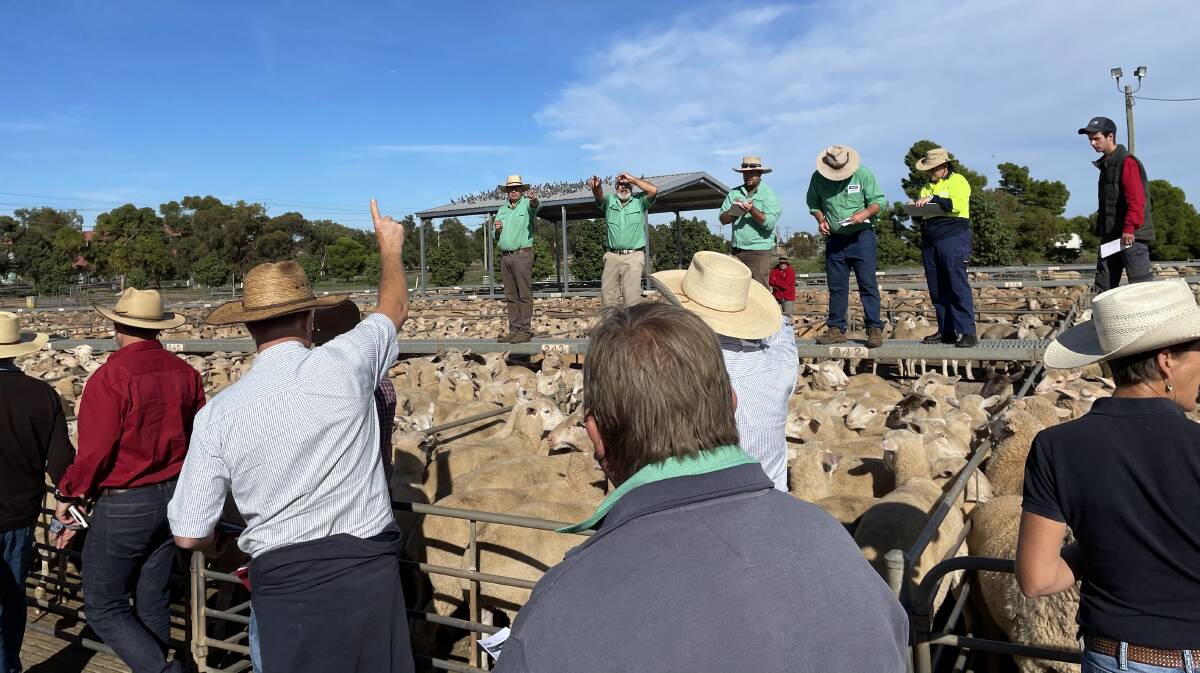 TAKING THE BIDS: A file image from the Griffith sheep and lamb market. 