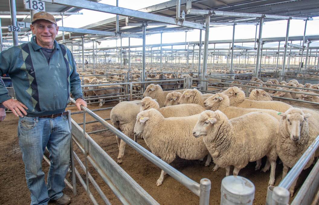 RESULTS: Peter Curtis, Binalong topped the cross bred ewe market at SELX with this pen which sold to a top of $170. 