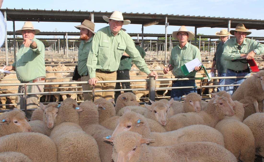 AT THE RAIL: The team from Landmark Wagga take the bids during the Wagga sheep and lamb sale. 