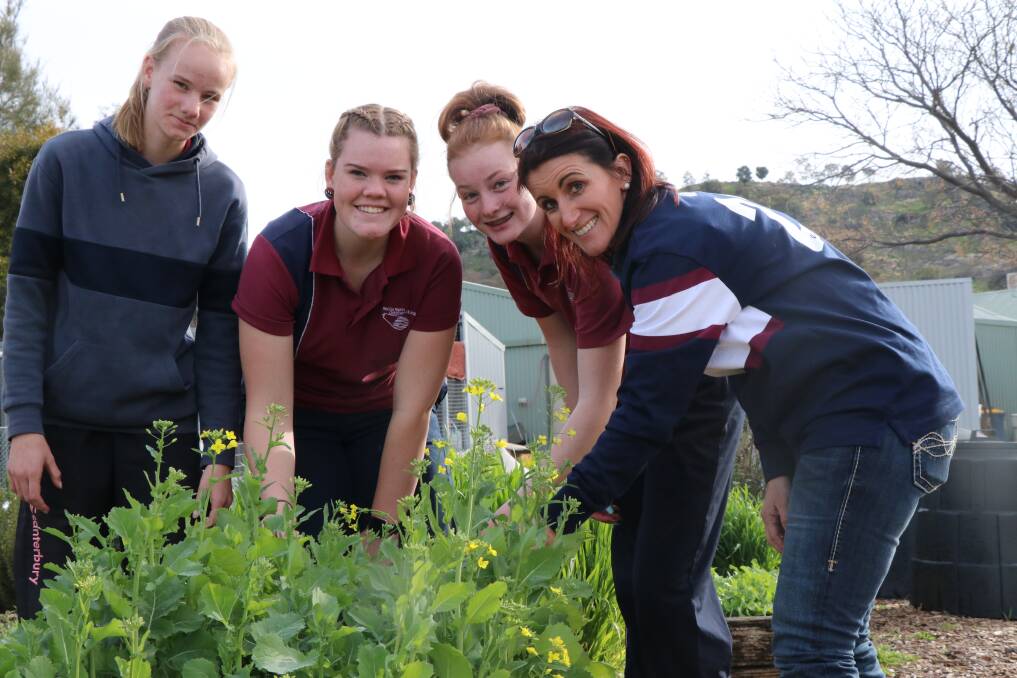 IN THE FIELD: Milly Bennett, Jemima Nugent, and Abbey Caskie, Year 9, and their agriculture teacher Belinda Everingham inspect some canola. Picture: Supplied 