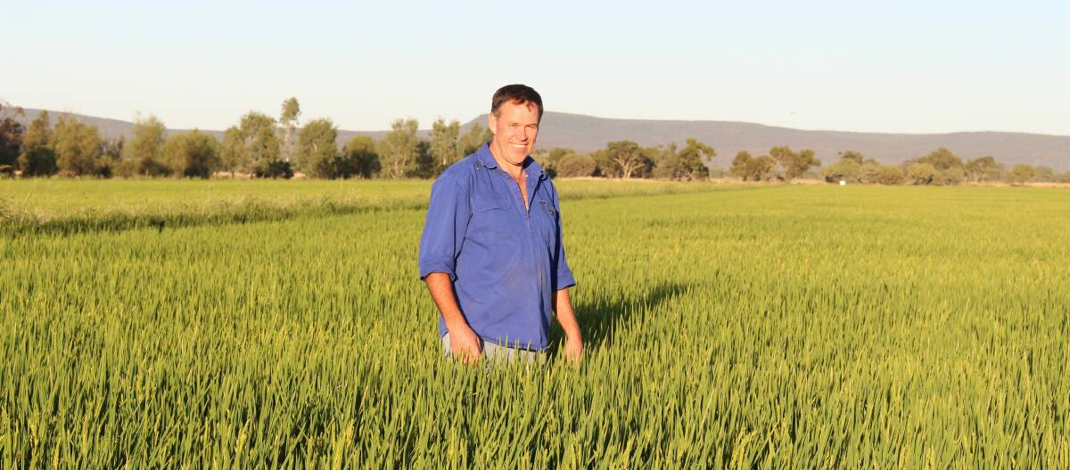 EFFICIENCY: Rice grower and 2017 Nuffield Scholar Mark Groat, who with support from AgriFutures Australia travelled across the United States, South America, China and India. Picture: Supplied