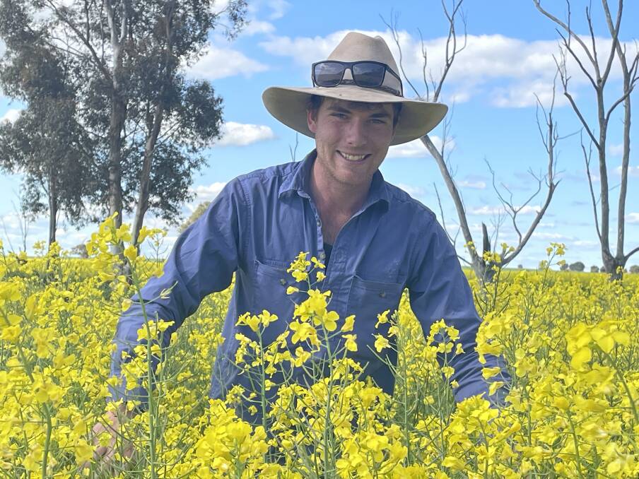 CROP GOALS: Joe Kingston of "Springvale" at French Park in the Eastern Riverina inspects his stingray canola crop. 