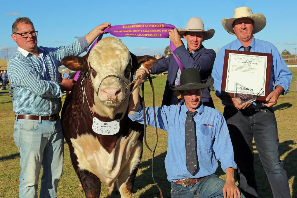 RIBBONS EARNED: Lachie Scurr holds the grand champion bull, Lachdale Mindblower M003, and is pictured with Andrew Rayner, David Smith and Greg Scurr with the inaugural Evan Davies Memorial Trophy. 