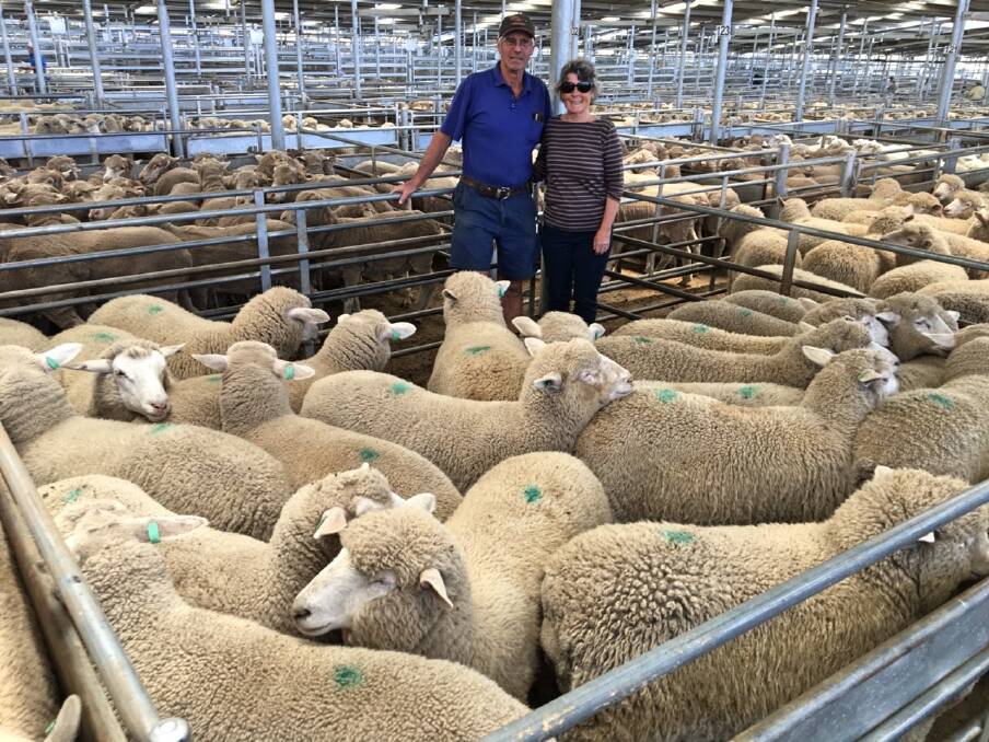 VENDORS: Brian and Noeleen Taylor sold 22 Corriedale cross Suffolk lambs with Duncombe & Co for $170ph at SELX. Picture: Supplied