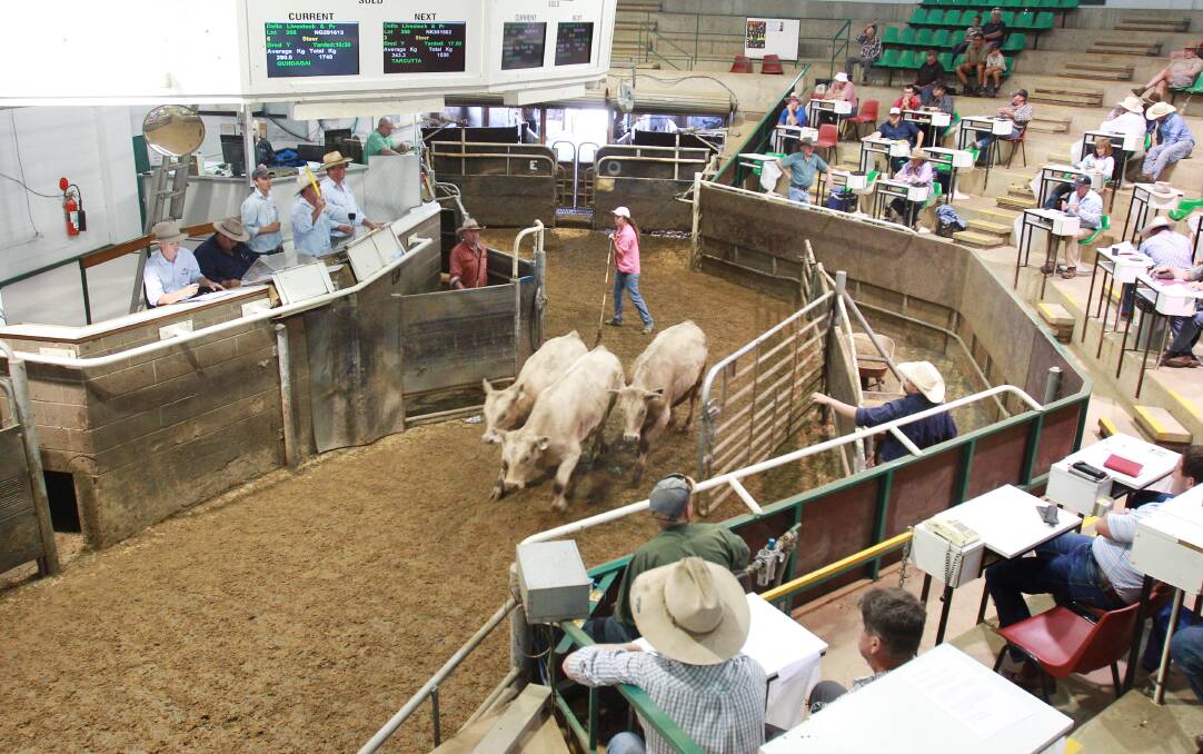 COMPETITION: A file image from the Wagga Livestock Marketing Centre. 