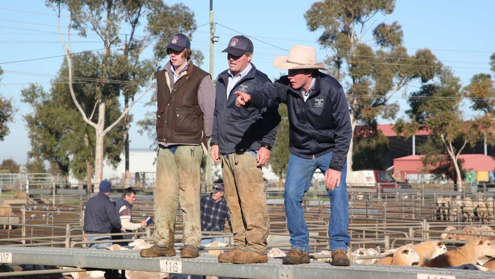 TAKING THE BIDS: Action from the Griffith sheep and lamb market. Picture: File image