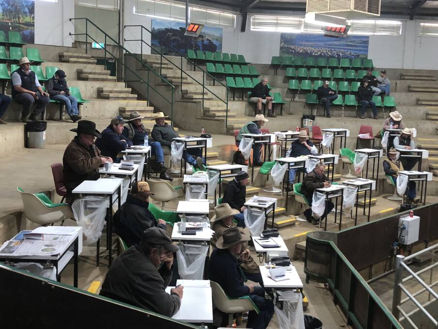 BUYERS: Action from the gallery at the Wagga cattle market. 