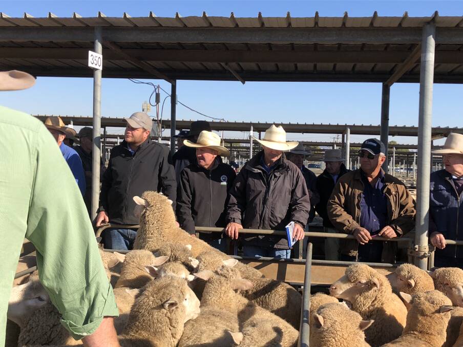 AT THE RAIL: Buyers, livestock agents and vendors are pictured at the Wagga sheep and lamb sale. Picture: Nikki Reynolds 