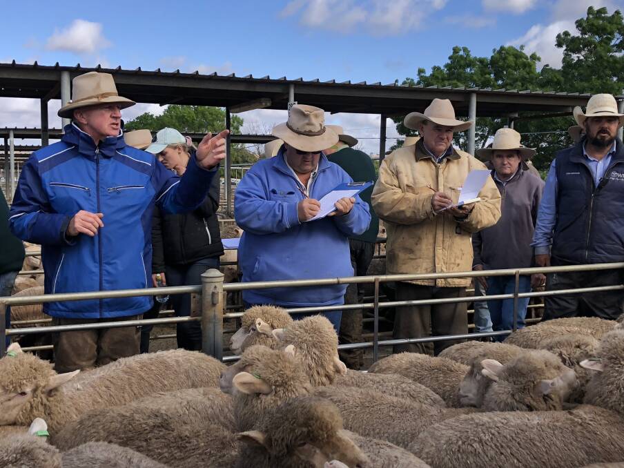 HAMMER FALLS: Action from the Wagga sheep and lamb sale. Picture: Nikki Reynolds