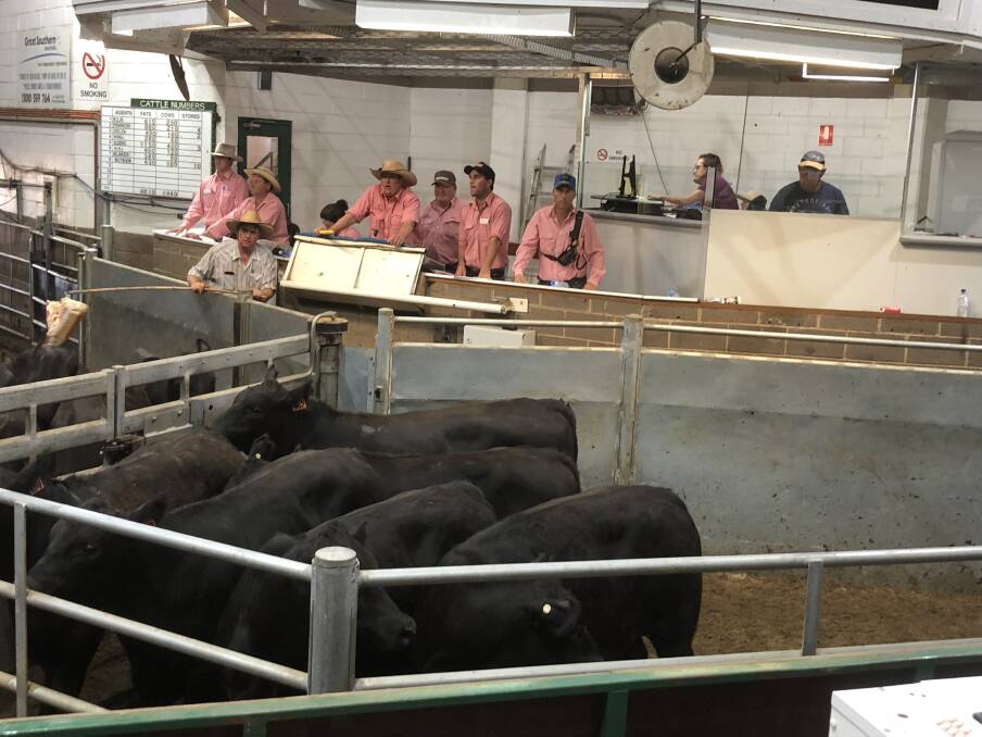 TAKING THE BIDS: A file shot of the Elders Wagga team at Wagga Livestock Marketing Centre. 