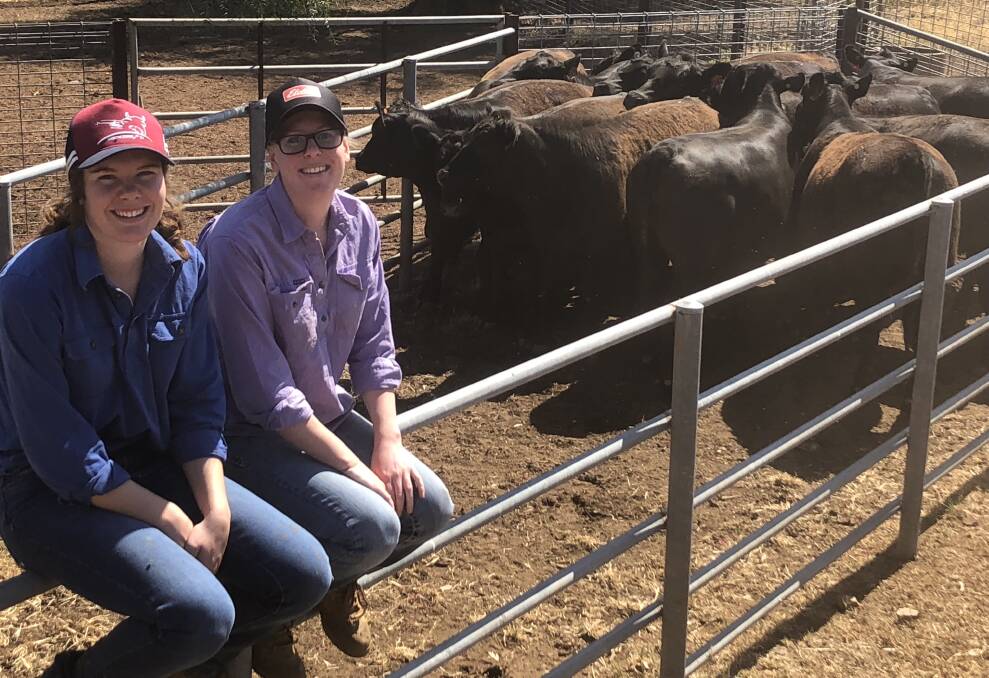 IN THE FIELD: Emily Lavis and Jaimee McQuellin will undertake internships with Angus Australia and the Graham Centre for Agricultural Innovation. Picture: Nikki Reynolds