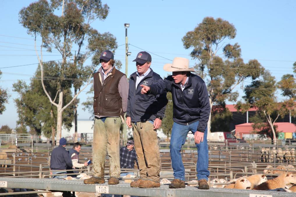 TAKING THE BIDS: Jess Spencer, Wayne Spencer and Jack Pippin at the Griffith sheep and lamb market. 