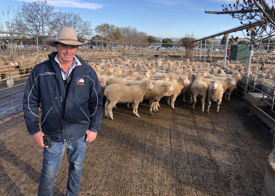 JUST THE START: Auctioneer James Tierney sold these lambs on behalf of Jeff Crawford of "Pine Grove," Temora early on in the season for $258.20. Picture: Nikki Reynolds