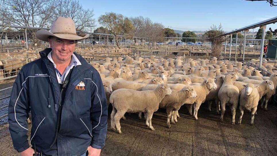 SKY'S THE LIMIT: Auctioneer James Tierney sold these lambs on behalf of Jeff Crawford of "Pine Grove," Temora for $258.20. Picture: Nikki Reynolds