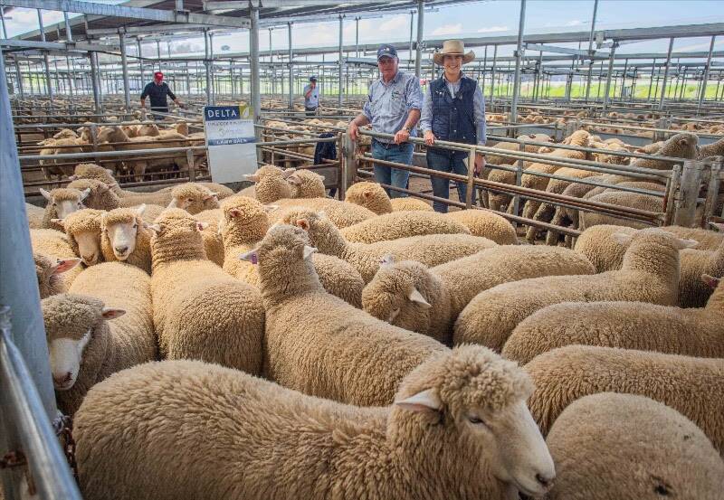 MEET THE MARKET: David Corcoran and Tegan Morris, Delta Livestock sold 75 XB Suckers for $197ph on behalf of V, J, B & A Martin, Yass. Picture: Supplied