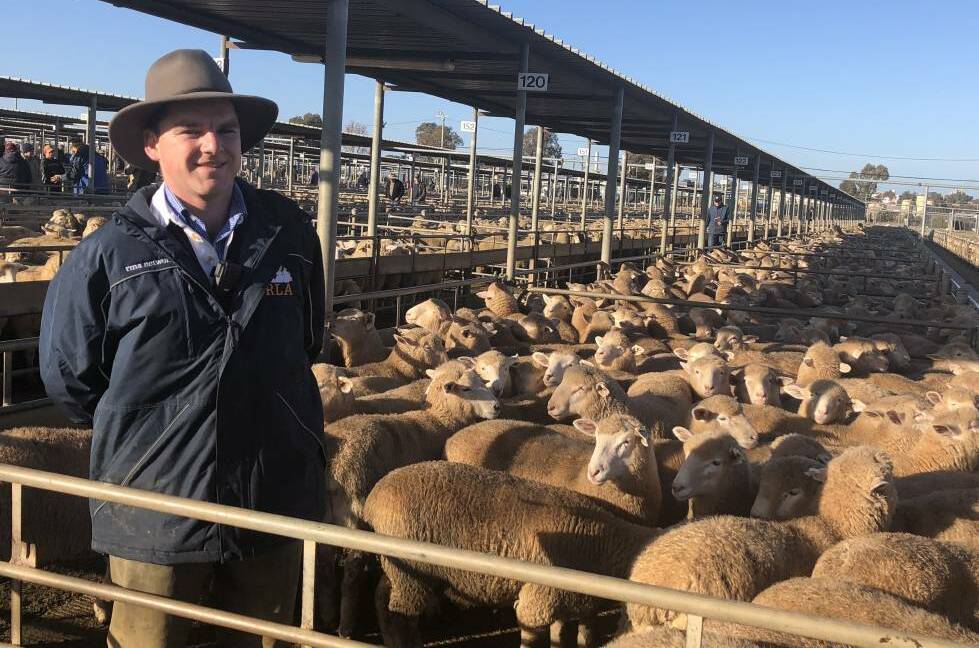NEW GROUND: Tim Pattison of Riverina Livestock Agents is pictured with these sucker lambs which made $200 at Wagga. Picture: Nikki Reynolds