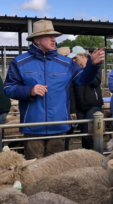 UNDER THE HAMMER: Anthony Cummins in action at the Wagga sheep and lamb market. 