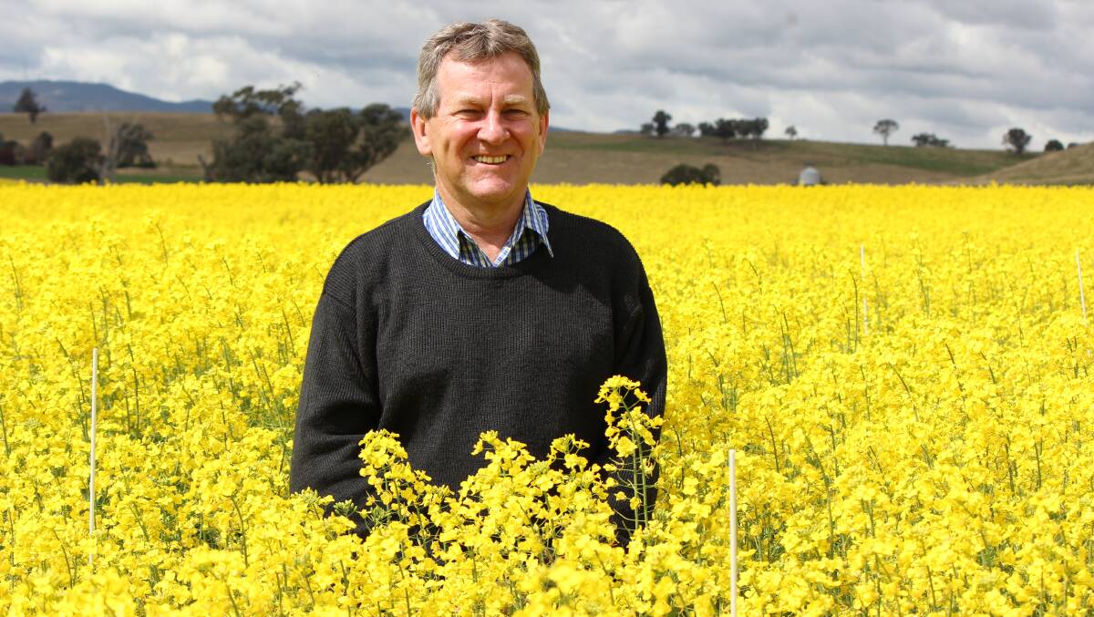 CONTRIBUTION: Well known NSW Department of Primary Industries (DPI) Technical Specialist (Pulses and Oilseeds), Don McCaffery is wrapping up his stellar career with 40 years of contribution to agriculture. 