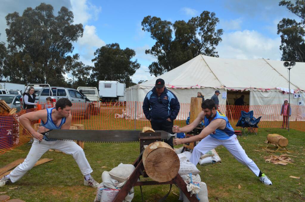 LOOKING BACK: Demonstrating the art of double-handed cross-cut saw Brent Smith, Thurgoona, Mark Smith, Holbrook and Richard Piper, Tallangatta during the Ganmain Show. 