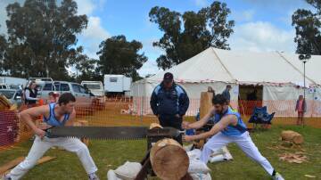 LOOKING BACK: Demonstrating the art of double-handed cross-cut saw Brent Smith, Thurgoona, Mark Smith, Holbrook and Richard Piper, Tallangatta during the Ganmain Show. 