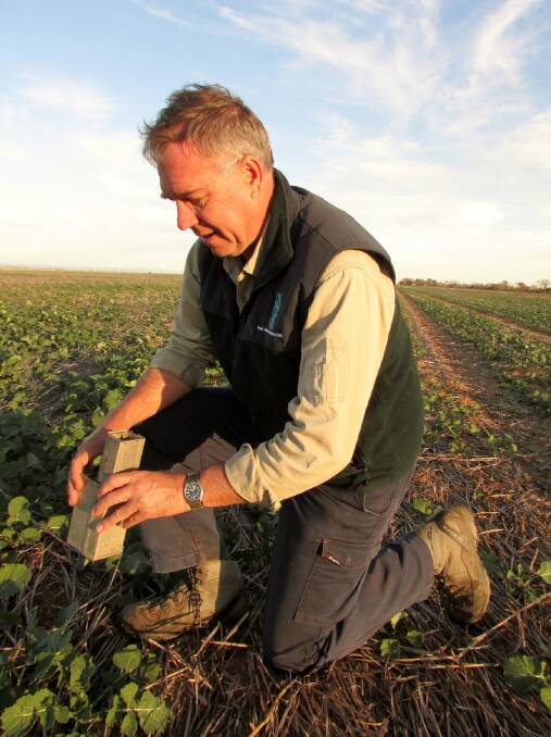 YIELD ROBBERS: Farmers are urged to monitor mouse activity in the lead up to winter sowing says Steve Henry of CSIRO. 
