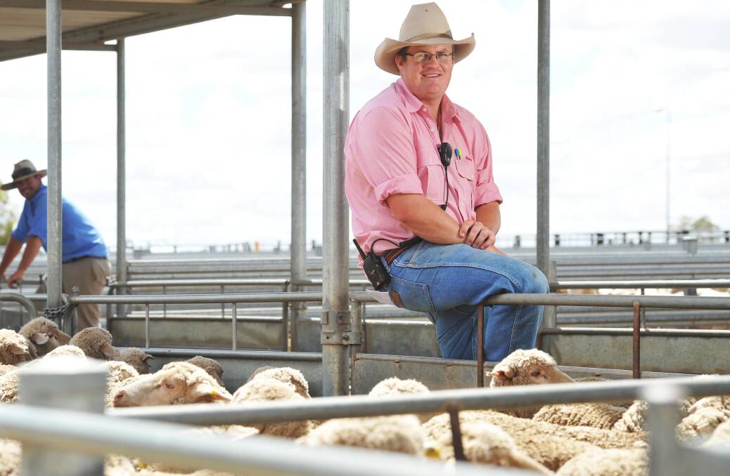 THE HAMMER FALLS: Joe Wilks of Elders Wagga is pictured at the Wagga Livestock Marketing Centre. 