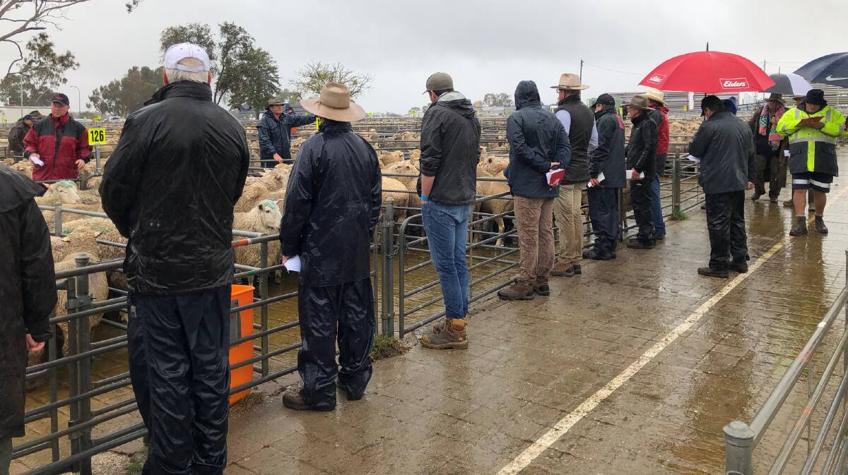TAKING THE BIDS: The team from Elders Corowa are pictured at the Corowa sheep and lamb market on Monday. Picture: Supplied