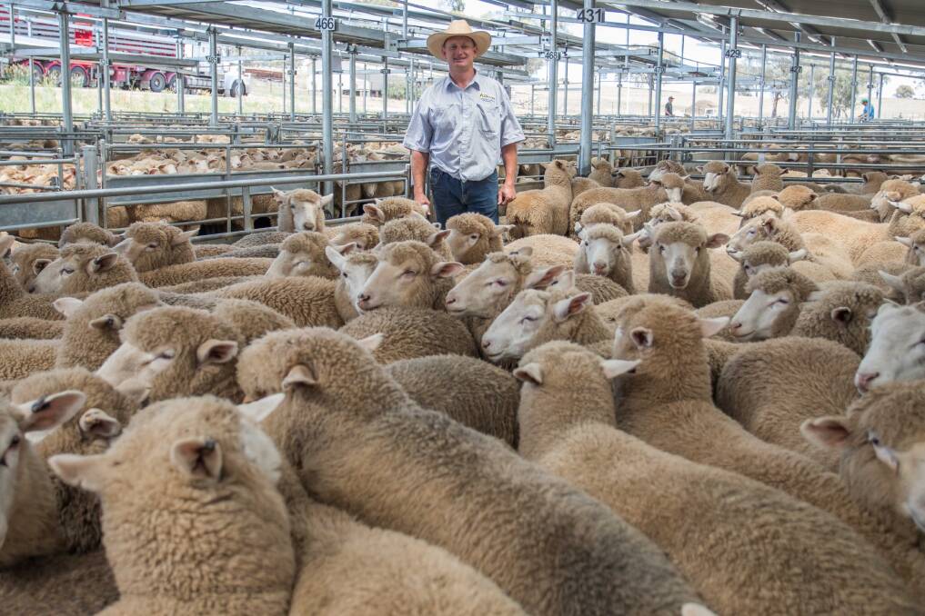 MARKET MATTERS: Vendor Julie Alders, Taralga topped the market with 80 cross bred suckers sold by Greg Anderson, MD & JJ Anderson to a top of $188.20.