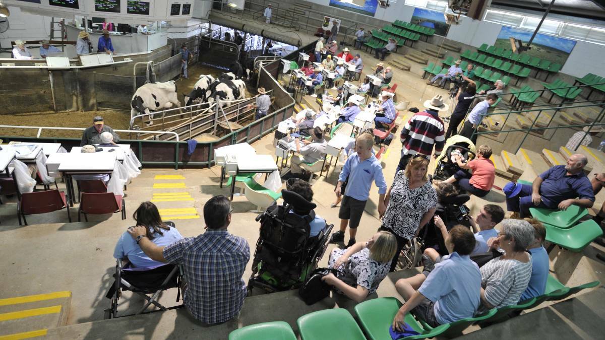 HAMMER FALLS: Action from the sale ring at Wagga Livestock Marketing Centre. 