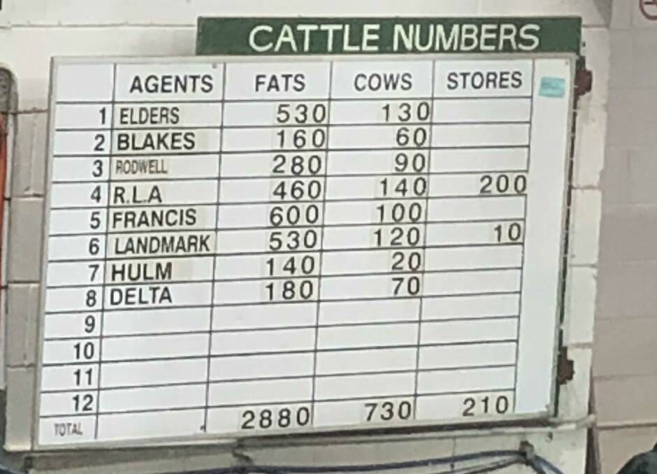 Smaller offering of cattle sells at Wagga market