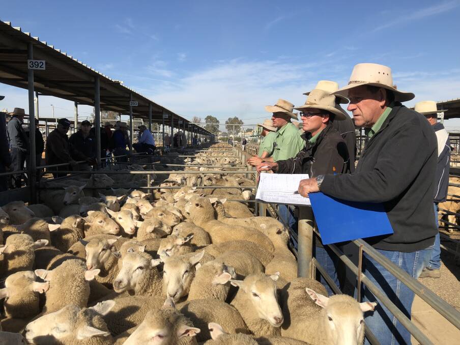 DEMAND: The team from Landmark Wagga take the bids during the Wagga sheep and lamb sale. Picture: Nikki Reynolds 