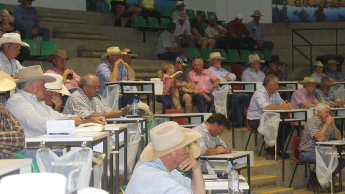 THE HAMMER FALLS: Buyers and vendors are pictured ringside at the Wagga Livestock Marketing Centre. 