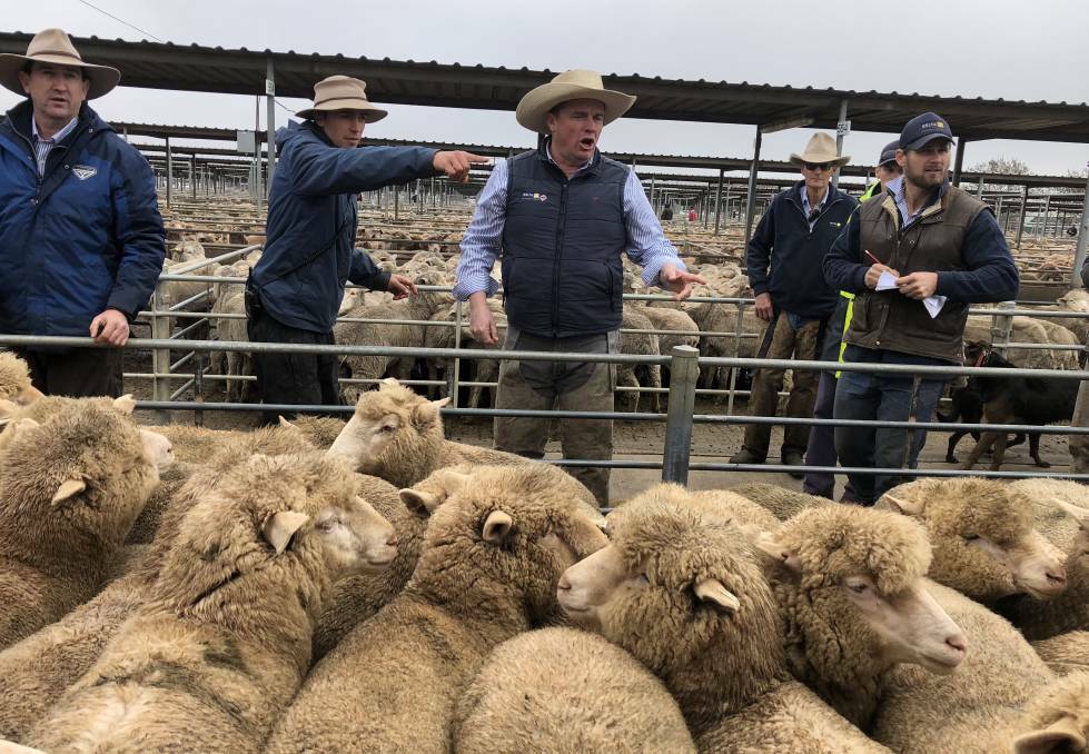 TEAM WORK: Livestock agents and auctioneers from Delta Wagga take the bids at the sheep and lamb sale. Picture: Nikki Reynolds 