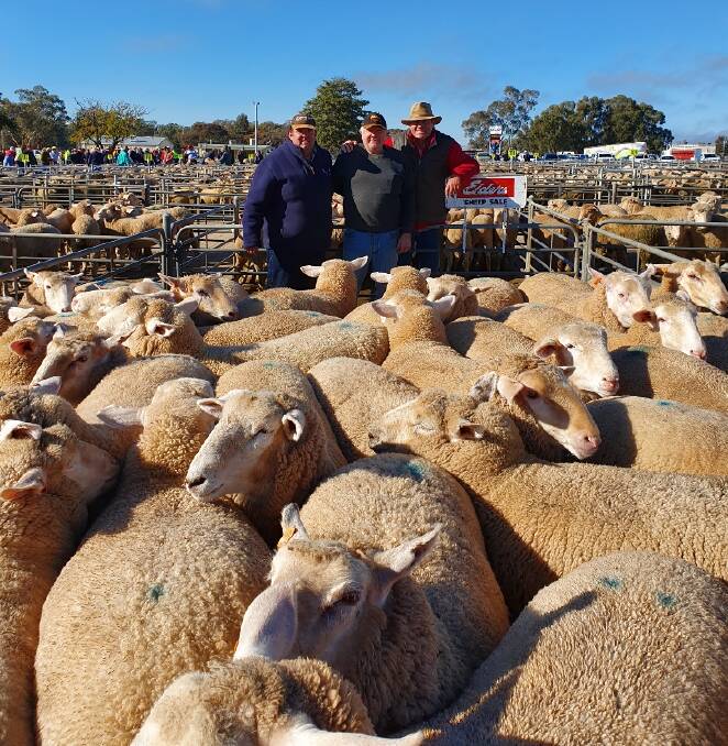 MAKING HISTORY: David Hill, of David Hill Livestock and Property, Albury, vendor Gary Mickan of Walla and livestock agent Steve Grantham of Elders Corows. Picture: Supplied