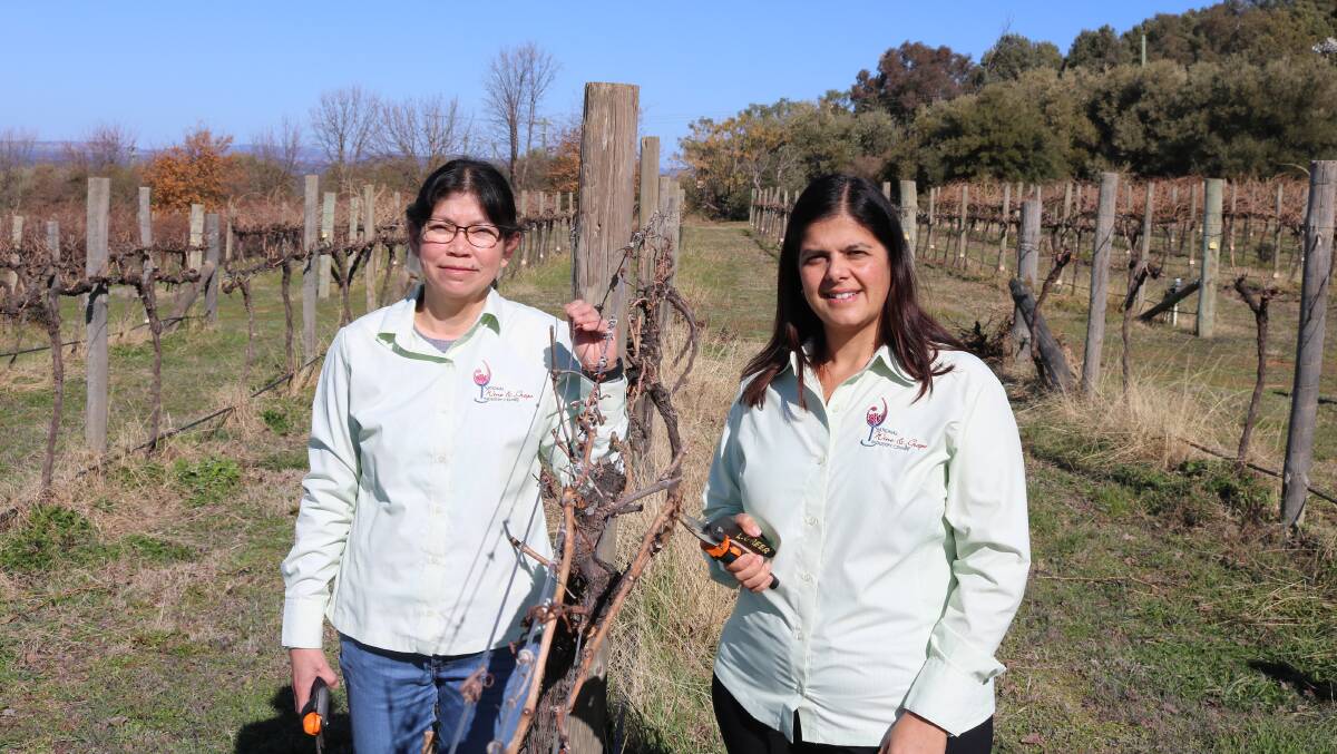 WINE EXCELLENCE: Associate Professor Sandra Savocchia and Dr Regina Billones-Baaijens from the National Wine and Grape Industry Centre (NWGIC).