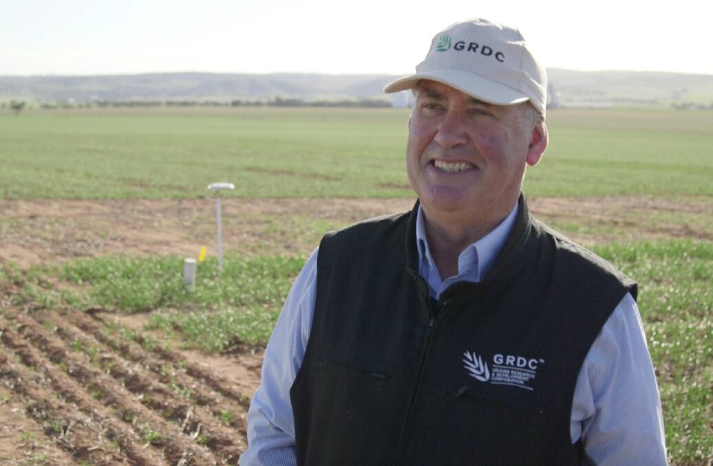 OPTIONS: GRDC’s NVT acting senior manager, Rob Wheeler, says harvest of the 2018 winter crop variety NVT trials is now complete and data from those trials is being made available to inform growers’ variety choices in 2019. Picture: GRDC