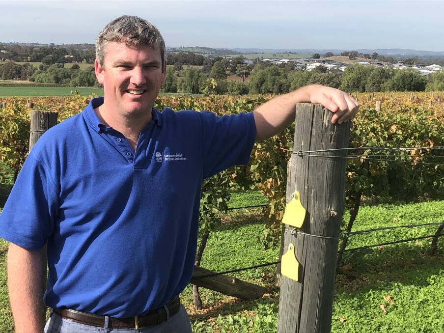 OPTIONS: Department of Primary Industries development officer, Adrian Englefield pictured in a vineyard. Picture: Nikki Reynolds